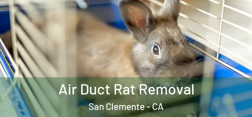  Air Duct Rat Removal San Clemente - CA