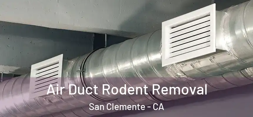Air Duct Rodent Removal San Clemente - CA