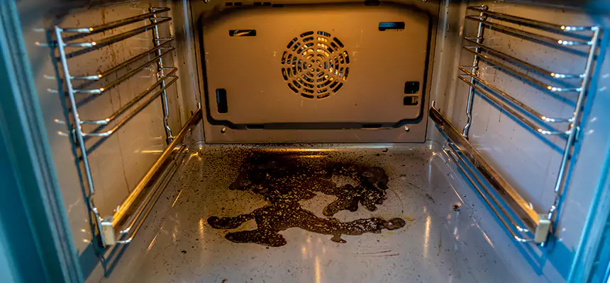 Our Dryer Vent Mold Cleaning Services in San Clemente, CA