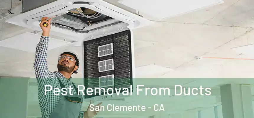 Pest Removal From Ducts San Clemente - CA
