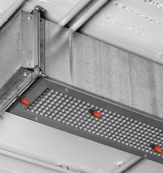 About Air Duct Cockroach Removal in San Clemente, CA