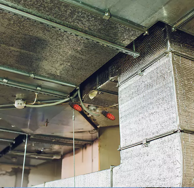 Why Homeowners & Businesses Trust Us in San Clemente, CA?