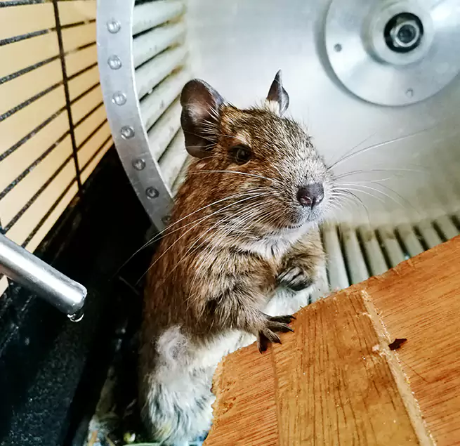 Why Homeowners & Businesses Trust Us San Clemente, CA