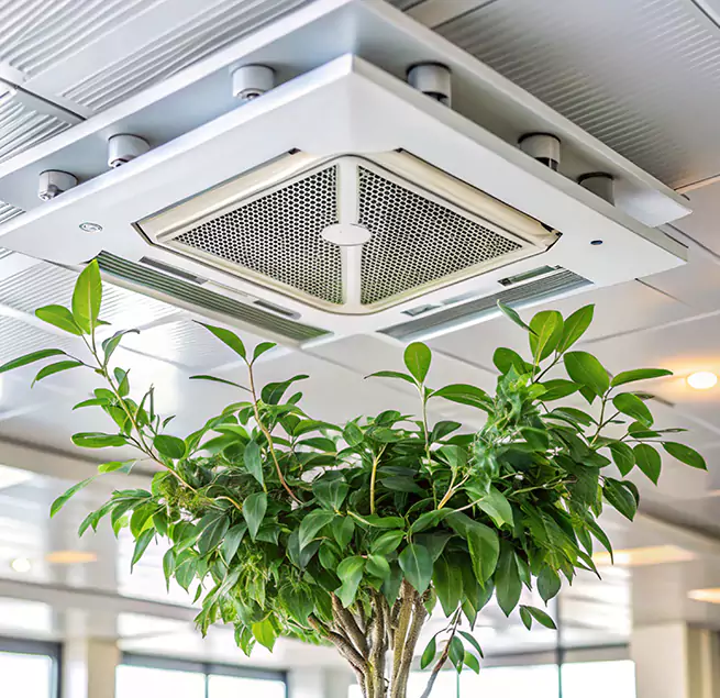 Why Homeowners & Businesses Trust Us in San Clemente, CA