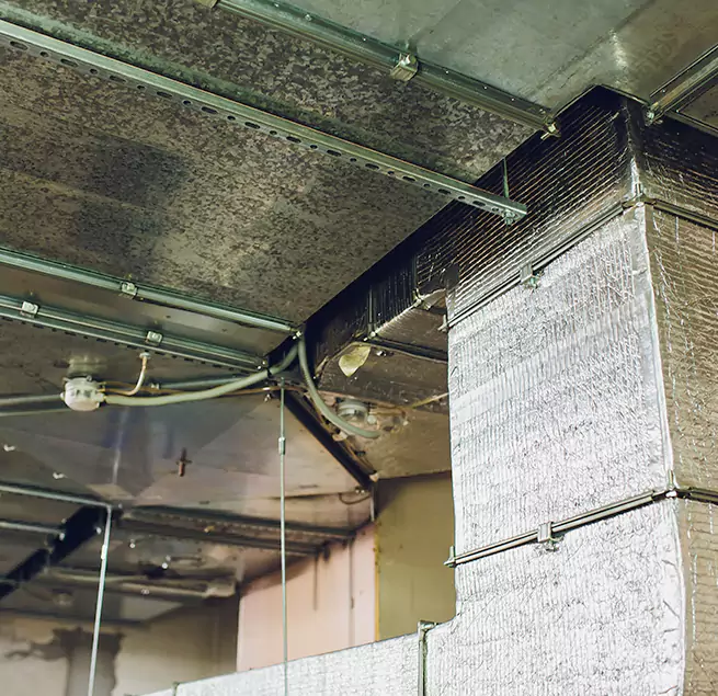 Why Homeowners & Businesses Trust Us in San Clemente, CA?